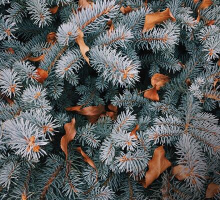 Adriatic.hr - Winter discount