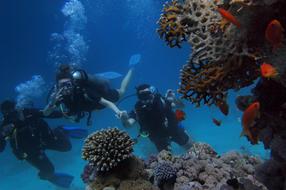 Underwater Adriatic Time machine