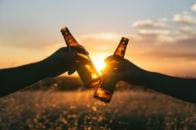The best Croatia craft beer you must try