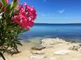 Beach  in Košljun, Pag.