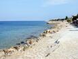 Beach  in Mandre, Pag.