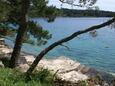 Beach  in Lumbarda, Korčula.