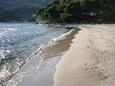 Spiaggia Saplunara a Saplunara, Mljet.