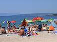 La plage Punta Debij en ville Punat, Krk.