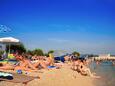 La plage Punta bibinje en ville Bibinje, Zadar.