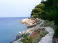 Beach  in Mudri Dolac, Hvar.