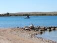 Beach  in Povljana, Pag.