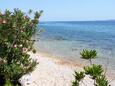 Beach  in Mandre, Pag.