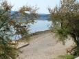 Beach  in Pridraga - Cuskijaš, Novigrad.