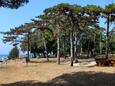 La plage  en ville Poreč, Poreč.