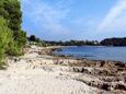 La plage  en ville Rovinj, Rovinj.