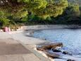 La plage Oslič en ville Stari Grad, Hvar.