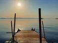 La plage  en ville Krknata, Dugi otok.