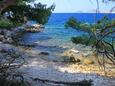 La plage  en ville Skrivena Luka, Lastovo.