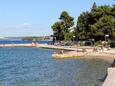 Beach  in Preko, Ugljan.