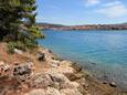 Nearest beach Beach in Vela Luka, Korčula.