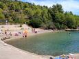 Nearest beach Beach in Vela Luka, Korčula.