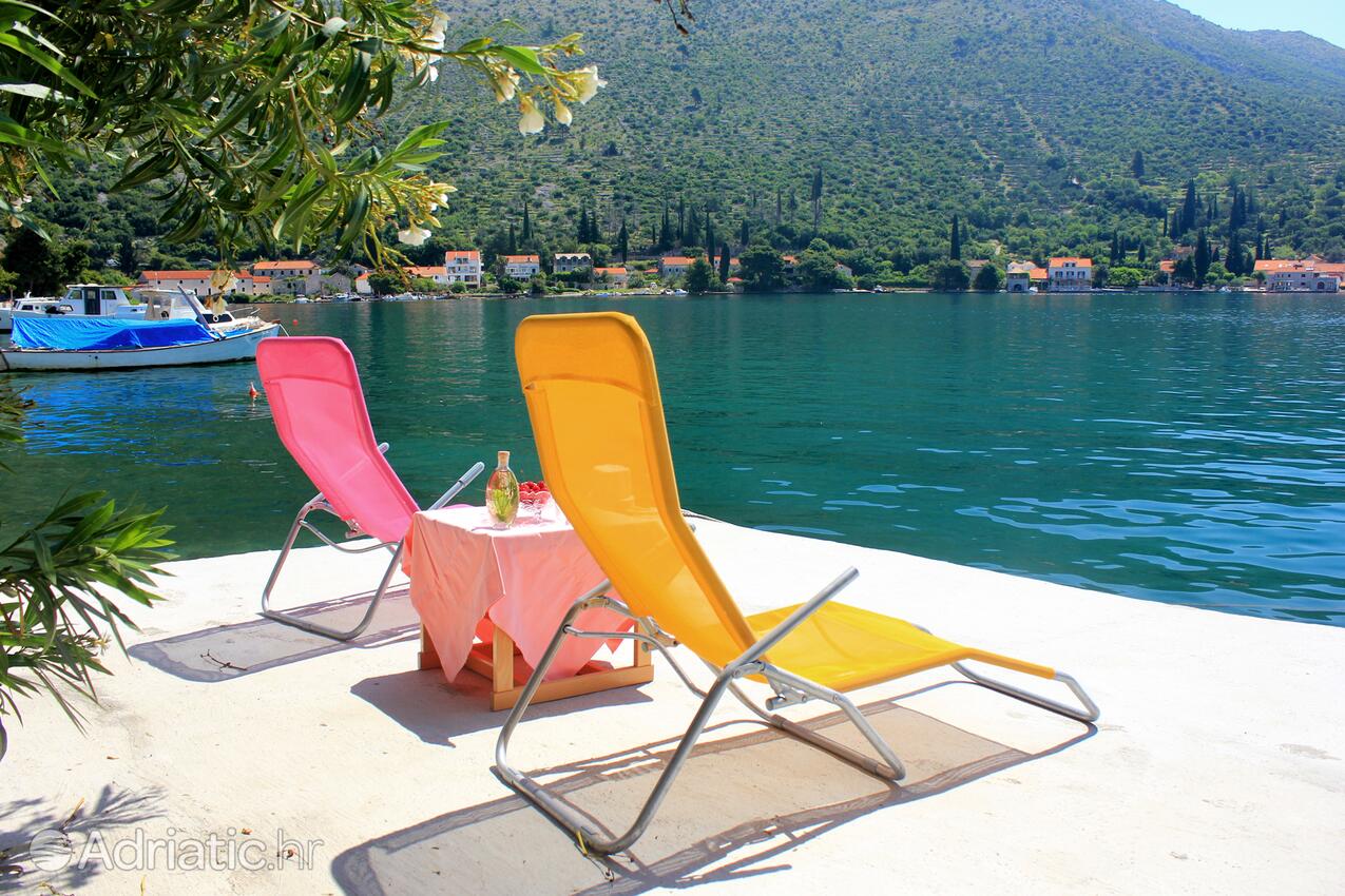 Download Longue plage 1 appartements de chambre For Free