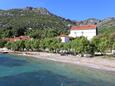 Beach  in Viganj, Pelješac.