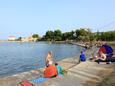 Nearest beach Beach Dužica in Kraj, Pašman.