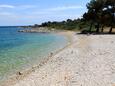 Пляж  в городе Nerezine, Lošinj.