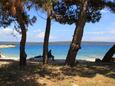 Пляж  в городе Nerezine, Lošinj.