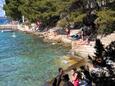 Beach  in Sali, Dugi otok.