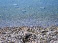 Pláž Plava plaža na místě Vodice, Vodice.