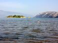 Der Strand Rajska plaža im Ort Lopar, Rab.