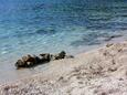 Crkovnjak strand Sumartin településen, Brač.