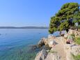 Plaża Saldun w miejscowości Trogir, Trogir.