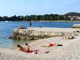 Biondi strand Rovinj településen, Rovinj.