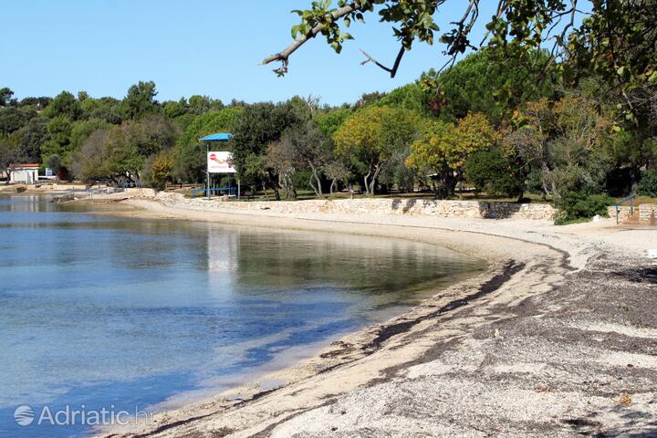 Plaža: Veštar, Rovinj - Rovinj | Najbolje plaže u Hrvatskoj | Adriatic.hr