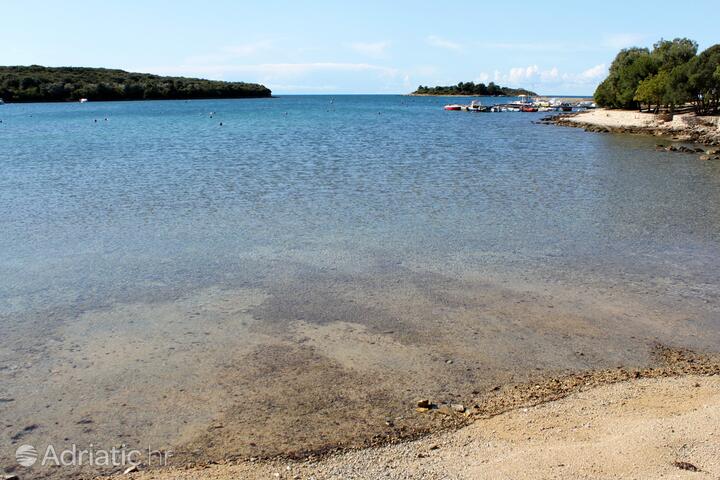 Pláž: Veštar, Rovinj - Rovinj | Nejlepší pláže v Chorvatsku | Adriatic.hr