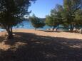 Beach  in Žaborić, Šibenik.