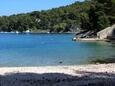 Der Strand Valdarke im Ort Mali Lošinj, Lošinj.