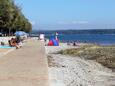 Der Strand  im Ort Novigrad, Novigrad.