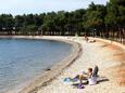 Der Strand Karpinjan im Ort Novigrad, Novigrad.