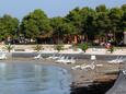 La plage  en ville Umag, Umag.