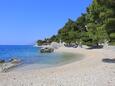 La plage Šćit en ville Brela, Makarska.