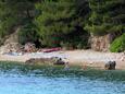 Der Strand  im Ort Živogošće - Mala Duba, Makarska.