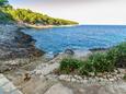 La plage  en ville Zanavje, Korčula.