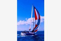 Dufour Gib'Sea 51