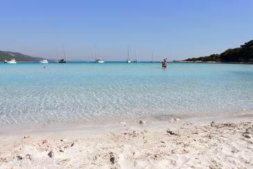 Sandy Beaches