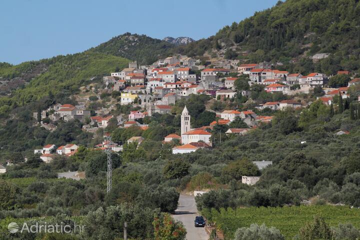 Čara auf der Insel  Korčula (Južna Dalmacija)