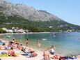 Igrane, les plages en autour - la côte Makarska.