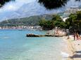 Podgora, les plages en autour - la côte Makarska.