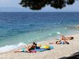 Podgora, les plages en autour - la côte Makarska.