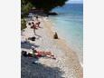 Podgora, beaches nearby - riviera Makarska.