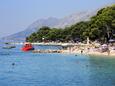 Brela, les plages en autour - la côte Makarska.